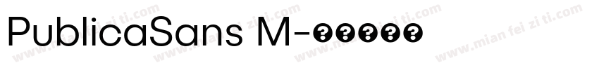 PublicaSans M字体转换